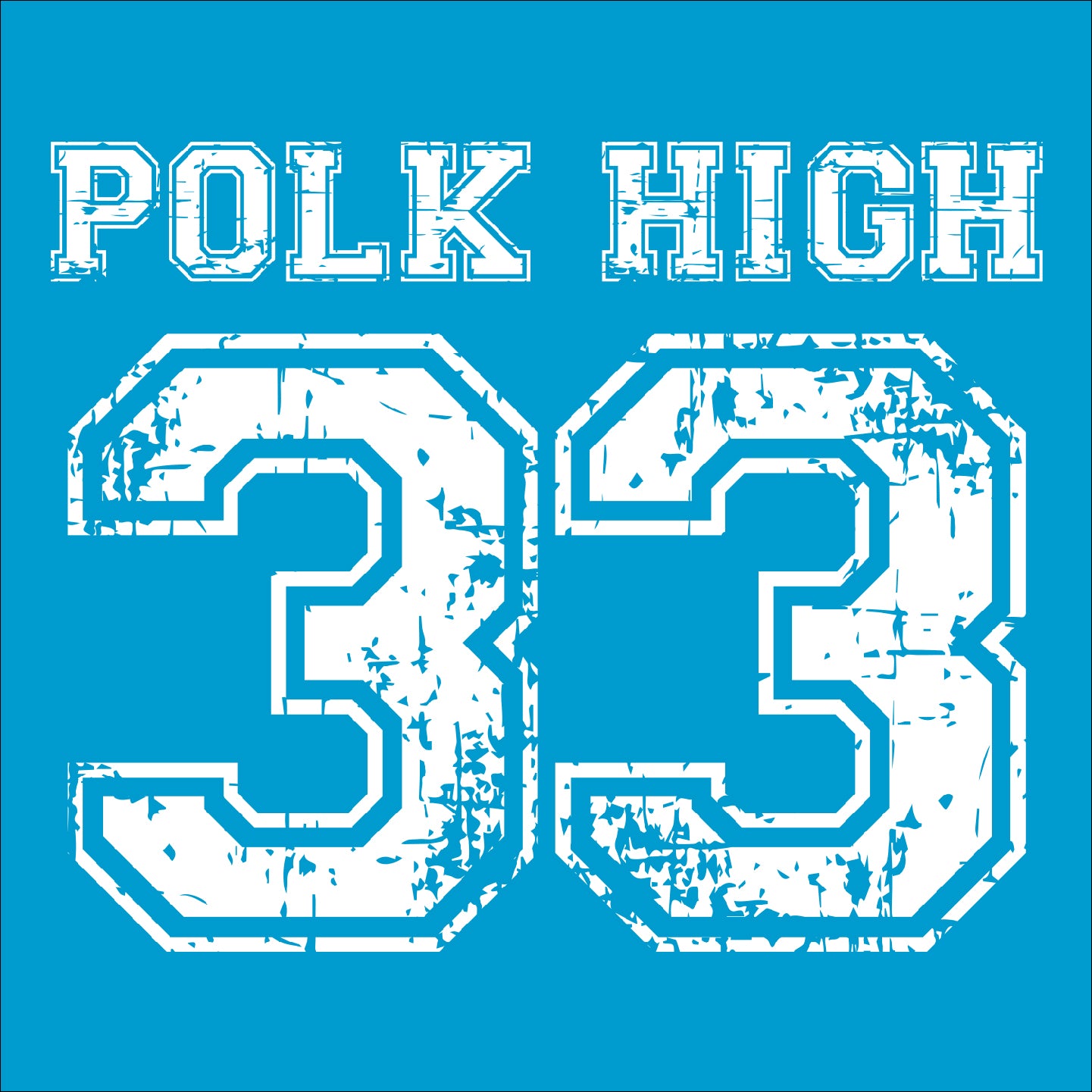 POLK HIGH